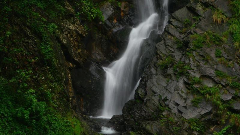 目前形式，县城开高端自榨油如何
